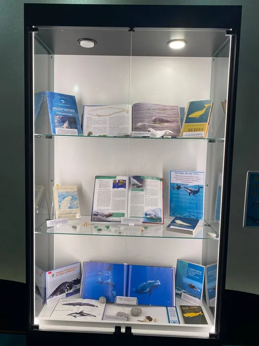 Выставка ко Всемирному дню защиты морских млекопитающих в Приморском Океанариуме2