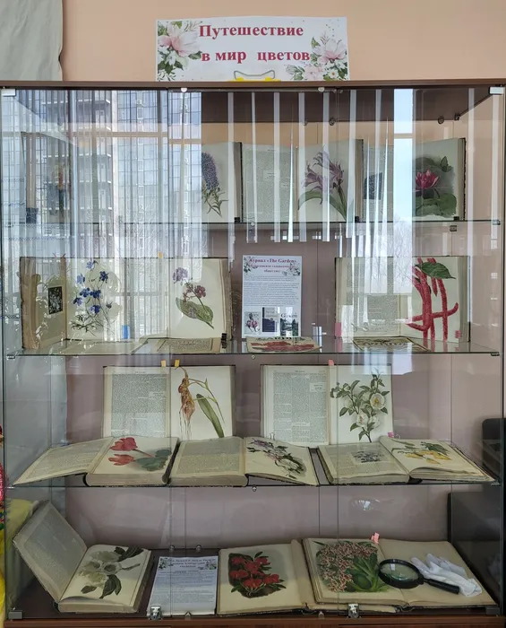 Фотозона и выставка к 8 Марта в ФНЦБ ДВО РАН3