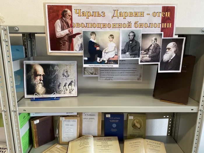 Выставка «Чарльз Дарвин — отец эволюционной биологии» в ННЦМБ ДВО РАН