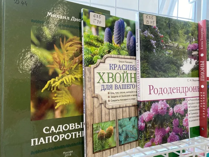 Выставка «Искусство садоводства от клумбы до ландшафта» в ННЦМБ ДВО РАН2