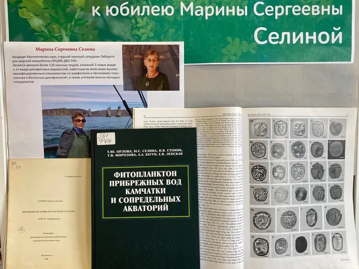 Мир фитопланктона в работах М.С. Селиной 3