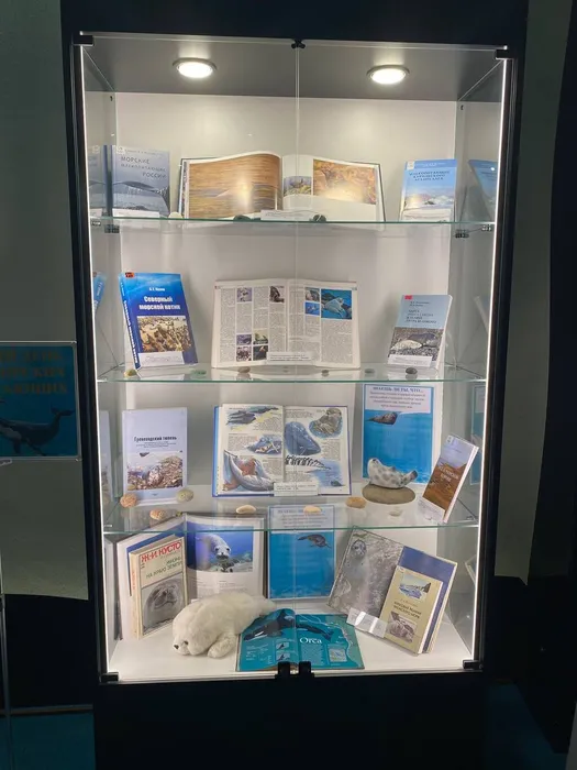 Выставка ко Всемирному дню защиты морских млекопитающих в Приморском Океанариуме3