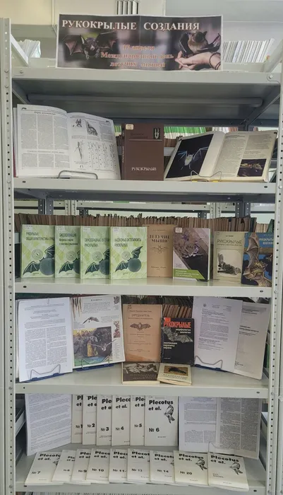 Выставка «Рукокрылые создания» в ФНЦБ ДВО РАН