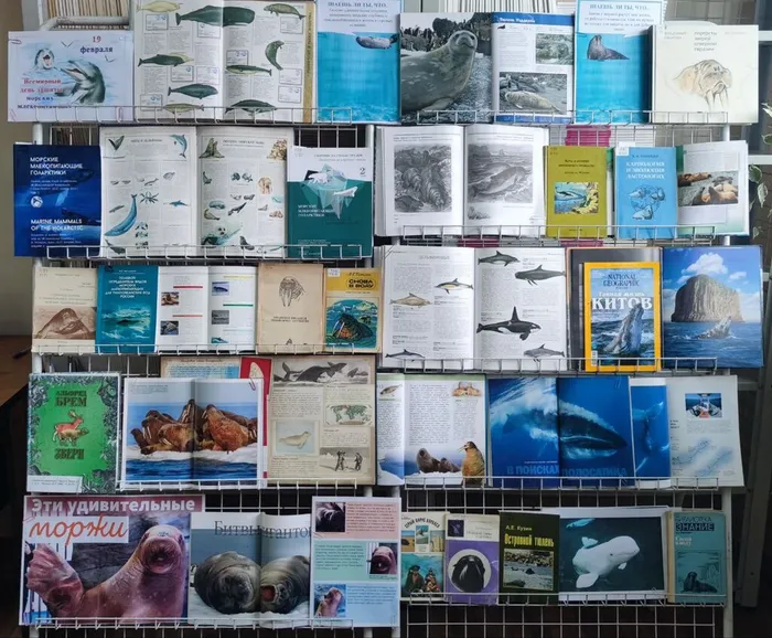 Выставка ко Всемирному дню защиты морских млекопитающих  ТИГ ДВО РАН