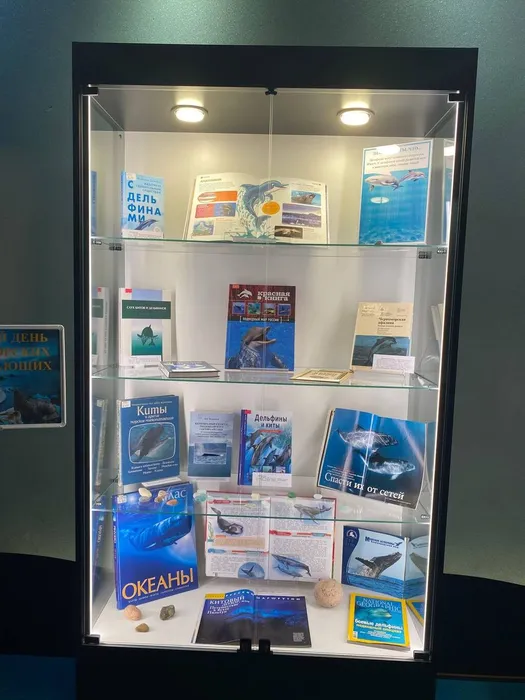 Выставка ко Всемирному дню защиты морских млекопитающих в Приморском Океанариуме1