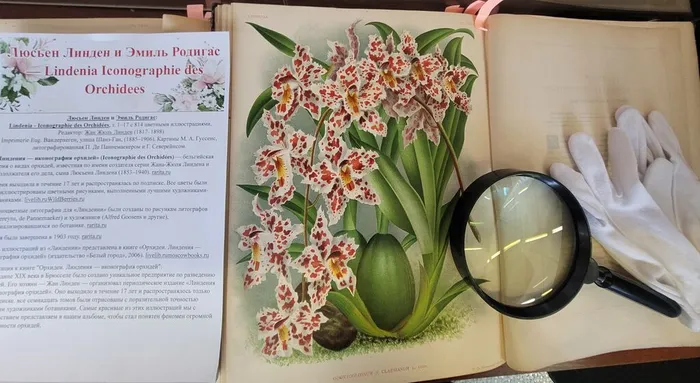 Фотозона и выставка к 8 Марта в ФНЦБ ДВО РАН1