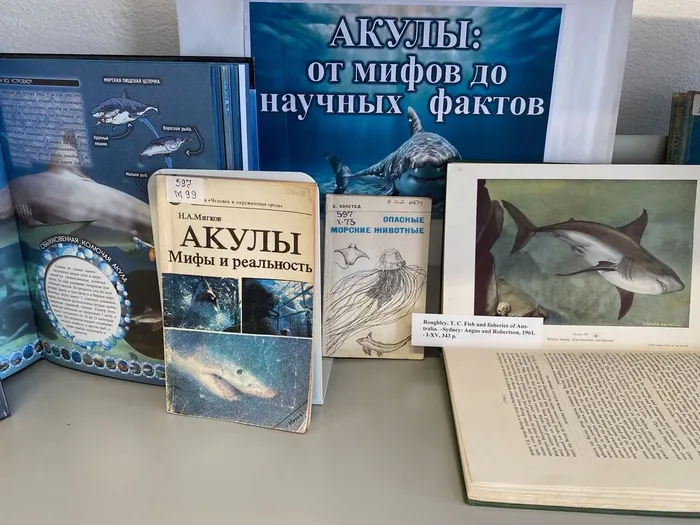 Выставка «Акулы от мифов до научных фактов» в ННЦМБ ДВО РАН