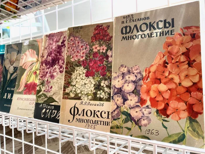 Выставка «Искусство садоводства от клумбы до ландшафта» в ННЦМБ ДВО РАН1