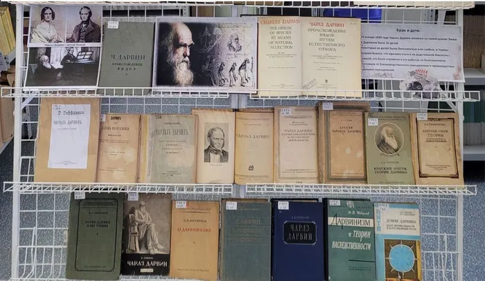 Выставка «Чарльз Дарвин – отец эволюционной биологии» в ФНЦБ ДВО РАН2