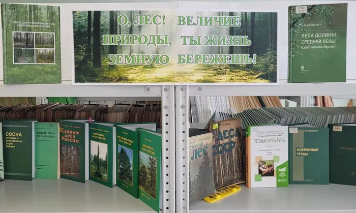 Выставка «О лес! Величие природы, ты жизнь земную бережешь!»