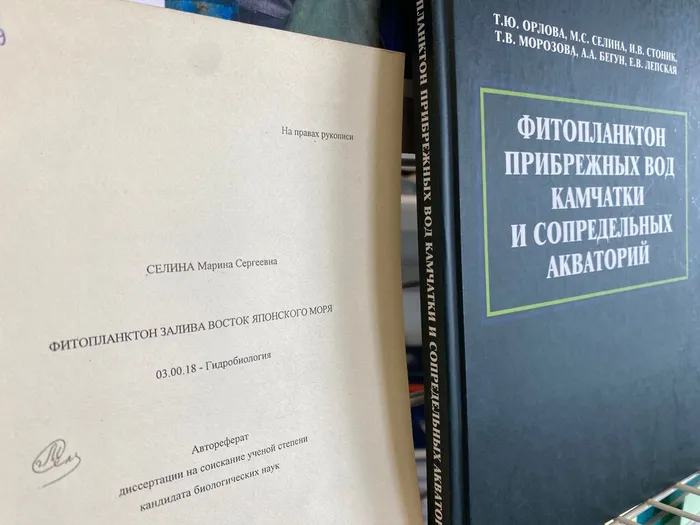 Мир фитопланктона в работах М.С. Селиной  4