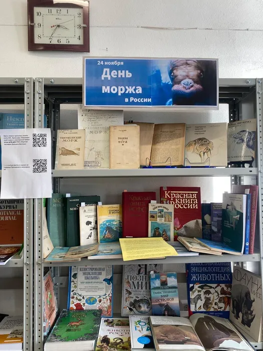 vystavka-ko-dnyu-morzha-v-nnczmb-1