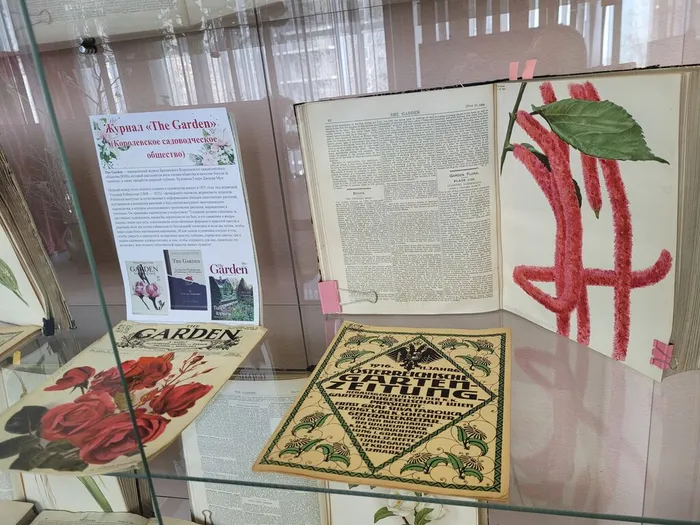 Фотозона и выставка к 8 Марта в ФНЦБ ДВО РАН2