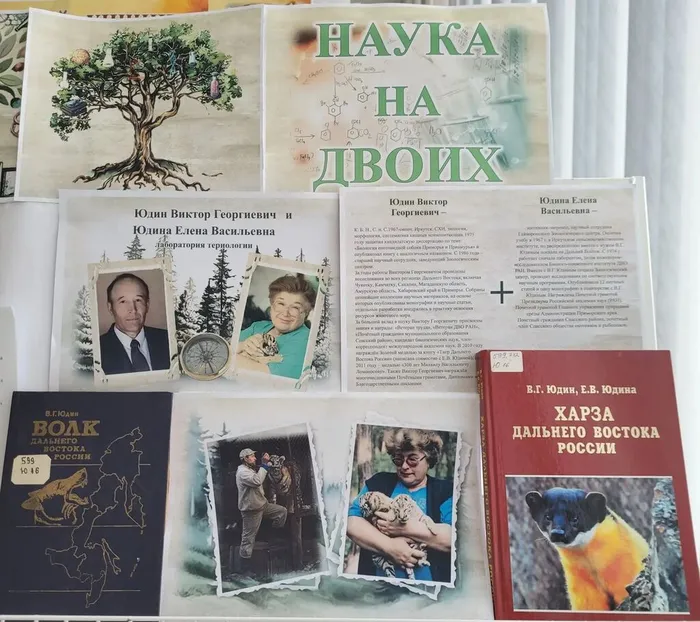 Новая выставка из серии «Наука– дело семейное» 2