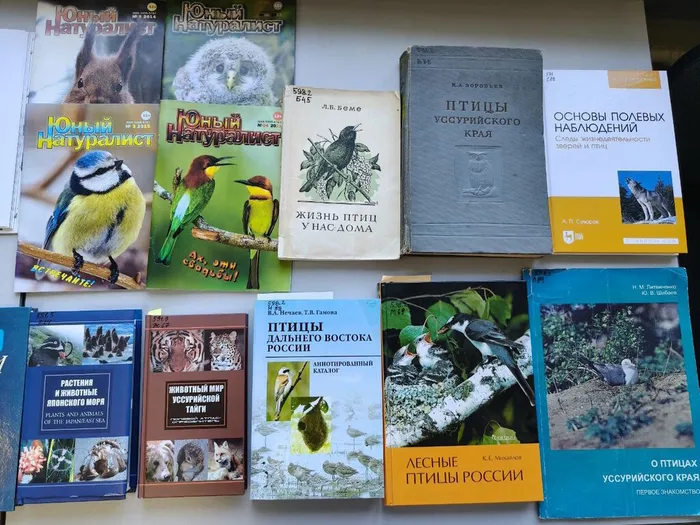 Выставка «Покормите птиц зимой» в БСИ ДВО РАН