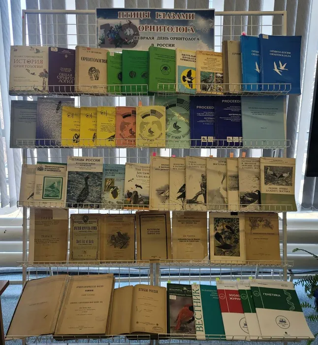 Выставка «Птицы глазами орнитолога» в ФНЦБ ДВО РАН