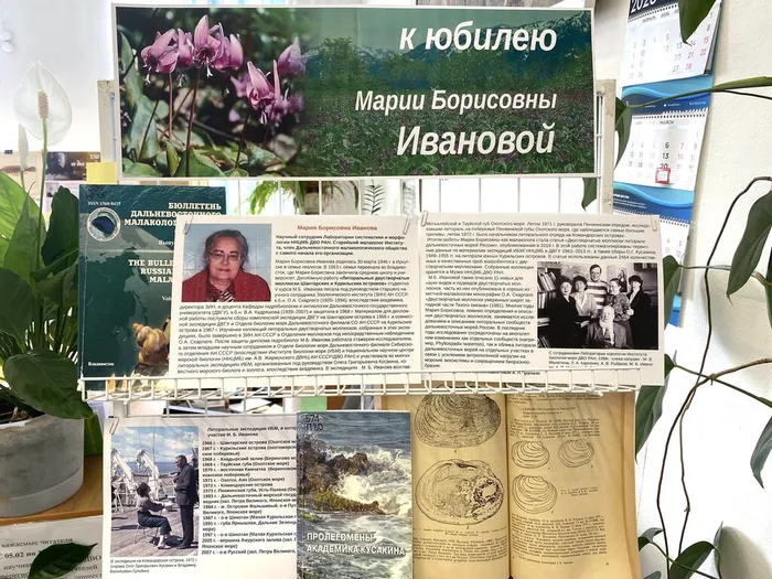 Выставка к юбилею Марии Борисовны Ивановой, науч. сотр. ННЦМБ ДВО РАН