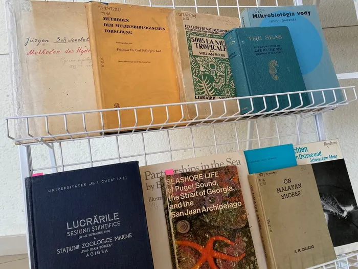 Выставка, посвященная ученым — гидробиологам в ННЦМБ ДВО РАН1