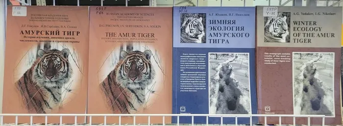 Выставка ко Дню Тигра в ФНЦБ ДВО РАН3