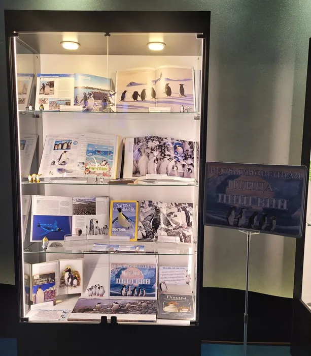 Выставка «Необыкновенная птица - пингвин» в Приморском Океанариуме