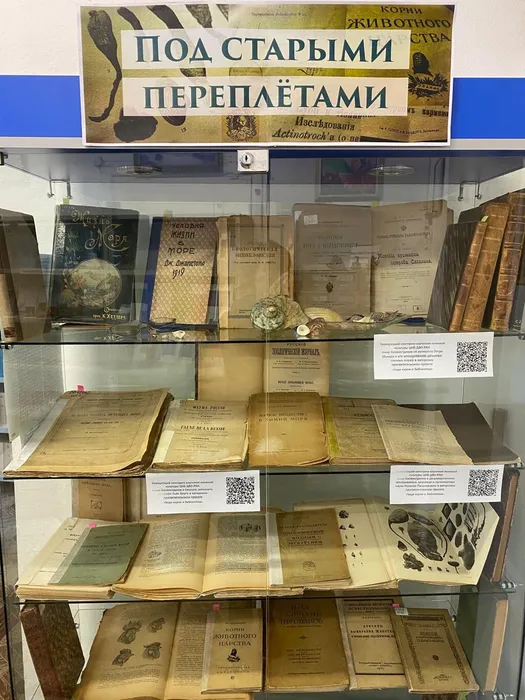 vystavka-pod-starymi-perepletami-v-nnczmb-dvo-ran-1