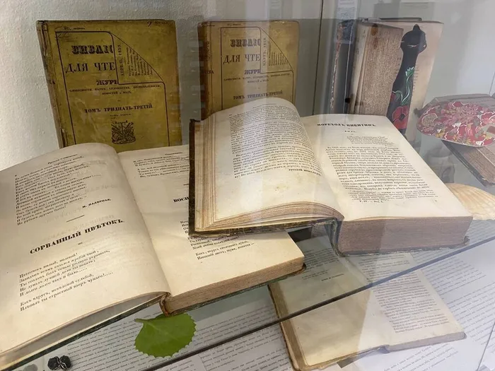 XIX векъ. Новости моды и не только5