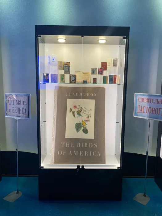 vystavki-v-okeanariume-2