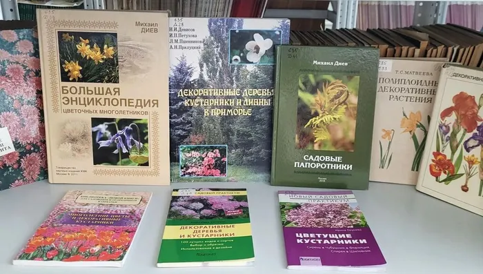 Выставка «Искусство садоводства от клумбы до ландшафта» в ФНЦБ ДВО РАН3