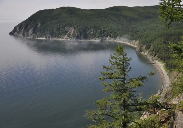 Встреча с сотрудниками студии экспедиционного фото и видео «СЭВЭН» в ФНЦБ ДВО РАН2
