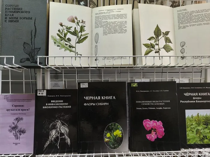 О чём расскажет «Чёрная книга» выставка о «растениях-пришельцах»1