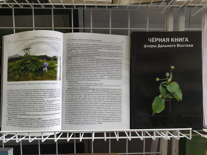 О чём расскажет «Чёрная книга» выставка о «растениях-пришельцах»2