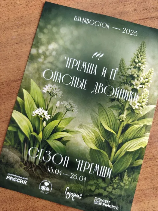 Лекция «Черемша и её опасные двойники»2